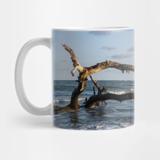 Driftwood in Ocean Mug